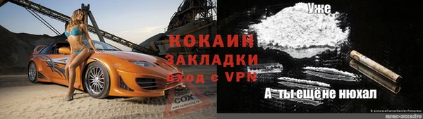 хмурый Белокуриха