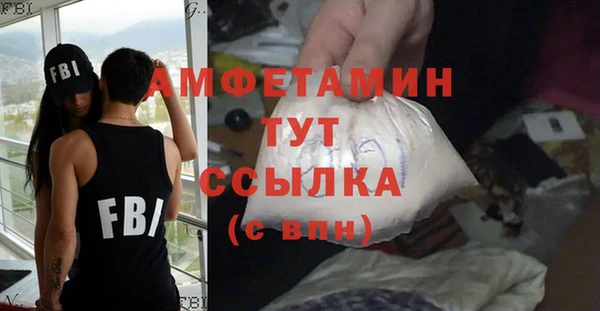 хмурый Белокуриха