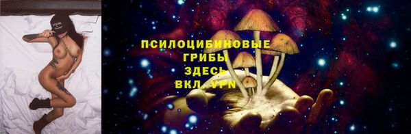 хмурый Белокуриха