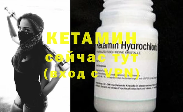 хмурый Белокуриха