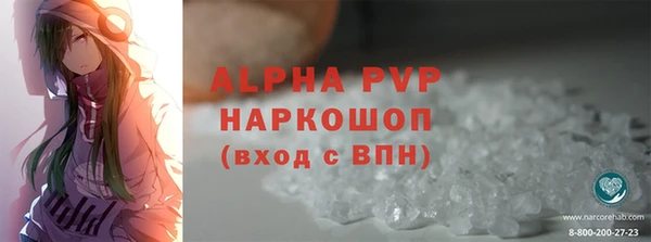 хмурый Белокуриха