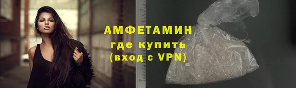 хмурый Белокуриха