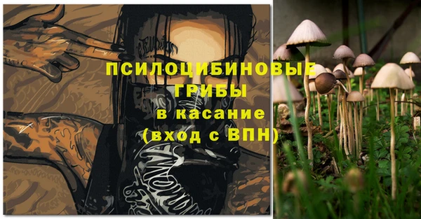 ешки Белоозёрский
