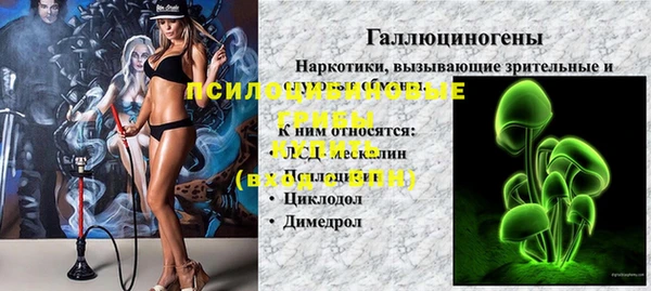 хмурый Белокуриха