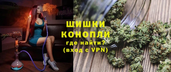хмурый Белокуриха