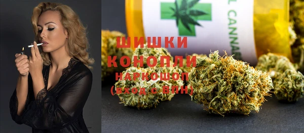 хмурый Белокуриха