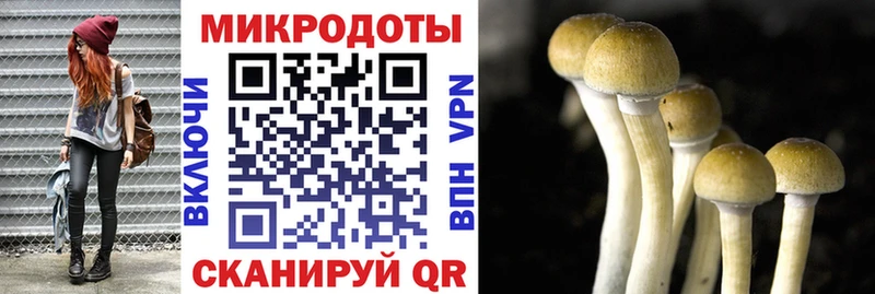 наркота blacksprut зеркало Галлюциногенные грибы мицелий Великий Новгород