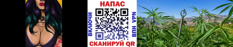 Конопля THC 21%  Великий Новгород 
